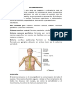 Sistema Nervioso y Presion Arterial.