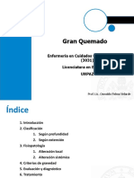 PACIENTE GRAN QUEMADO (Power Point)