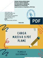 CARGA MASIVA Y PDTs PLAME Grupo 3