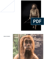 Homo Neanderthal