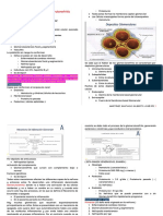 Generalidades Glomerulonefritis