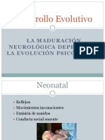 Desarrollo Evolutivo