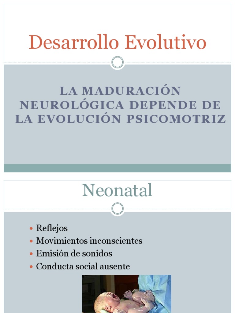 Desarrollo Evolutivo PDF