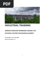 Industrial Training Final Report