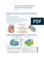 Actividades y Material de Apoyo de CC - NN 9no