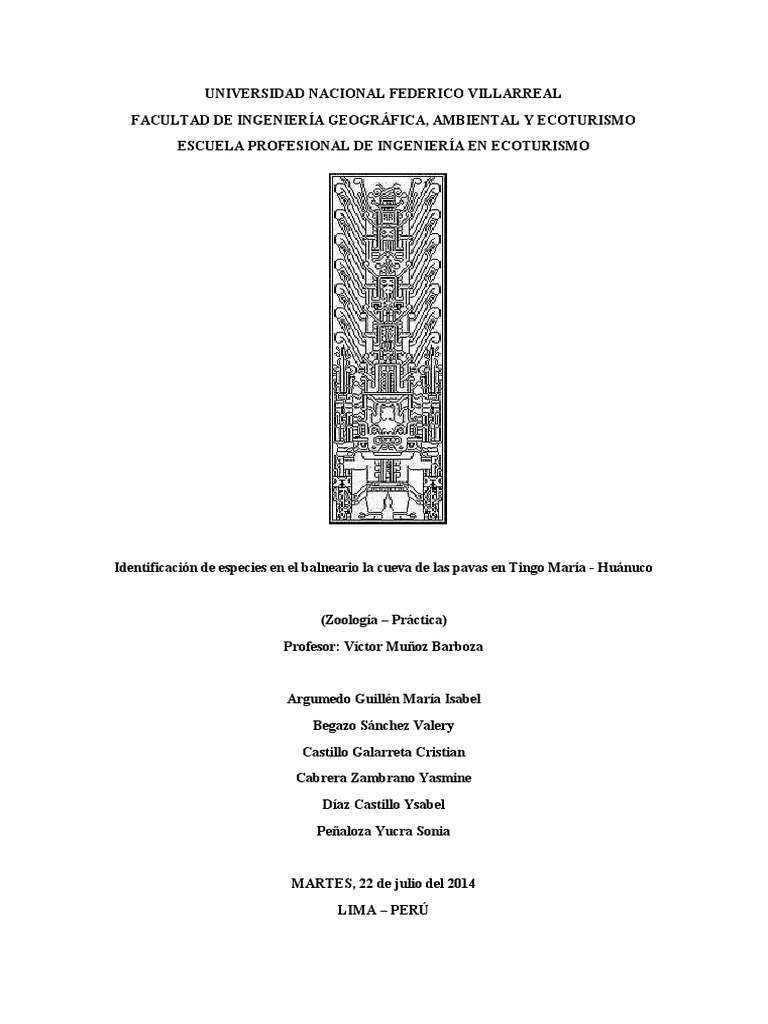 cueva-de-las-pavas-pdf