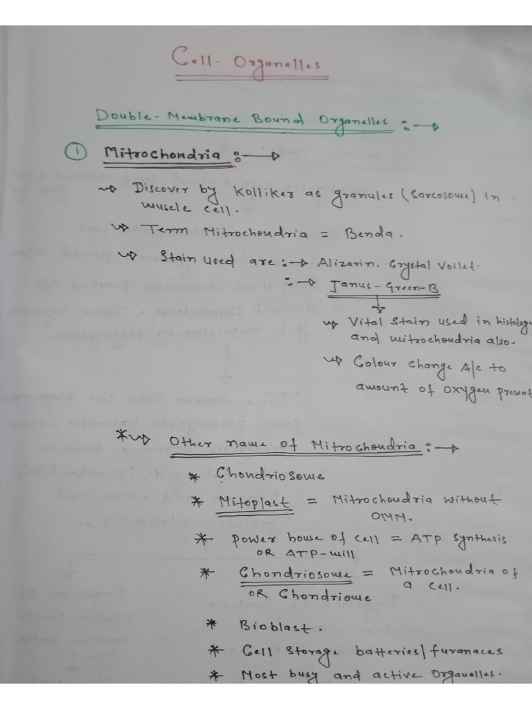 Mitochondria PDF | PDF