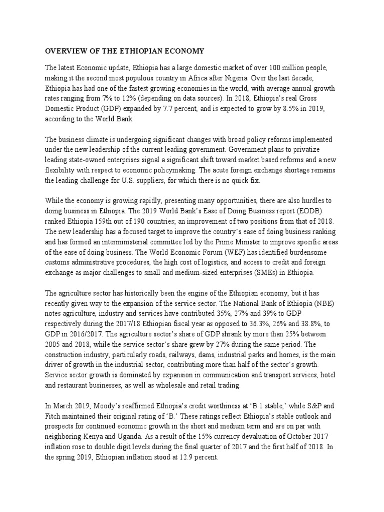 BUSINESS PLAN PROPOSAL IN AMHARIC visual data 8