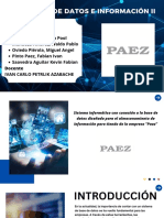 Sistema Informático Con Conexión A La Base de Datos Diseñada para El Almacenamiento de Información para Tienda de La Empresa "Paez"