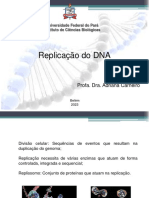 Aula 3 - Replicação Do DNA