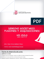 DERECHO SOCIETARIO, FUSIONES Y ADQUISICIONES Semana 08 - Sesion 15 y 16