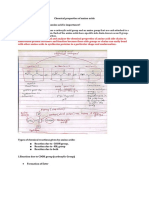 Chemical Properties of Amino Acids