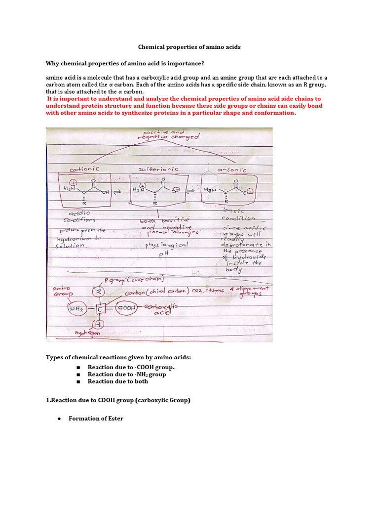 Chemical Properties of Amino Acids | PDF | Amino Acid | Ester