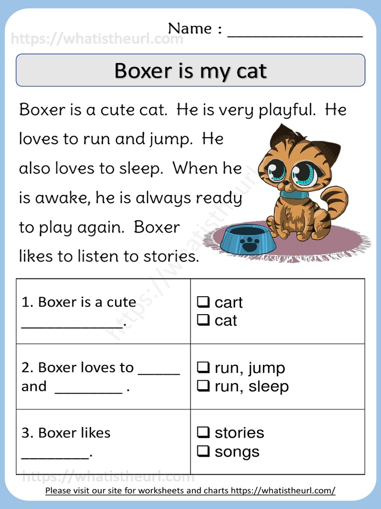 Boxer is my cat reading comprehension for kids pdf