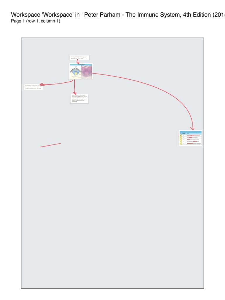 Saint Peter intelligence overview