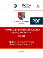 2022 - 4 nSDDJB__IV__Anexa._Fisele_localitatilor_din_judetul_Brasov