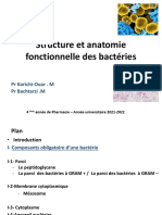 1-1-Structure Et Anatomie Fonctionnelle Des Bactéries - Copie