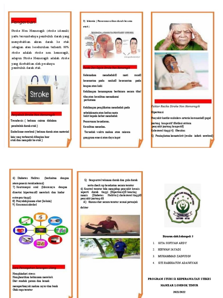 Leaflet SNH | PDF