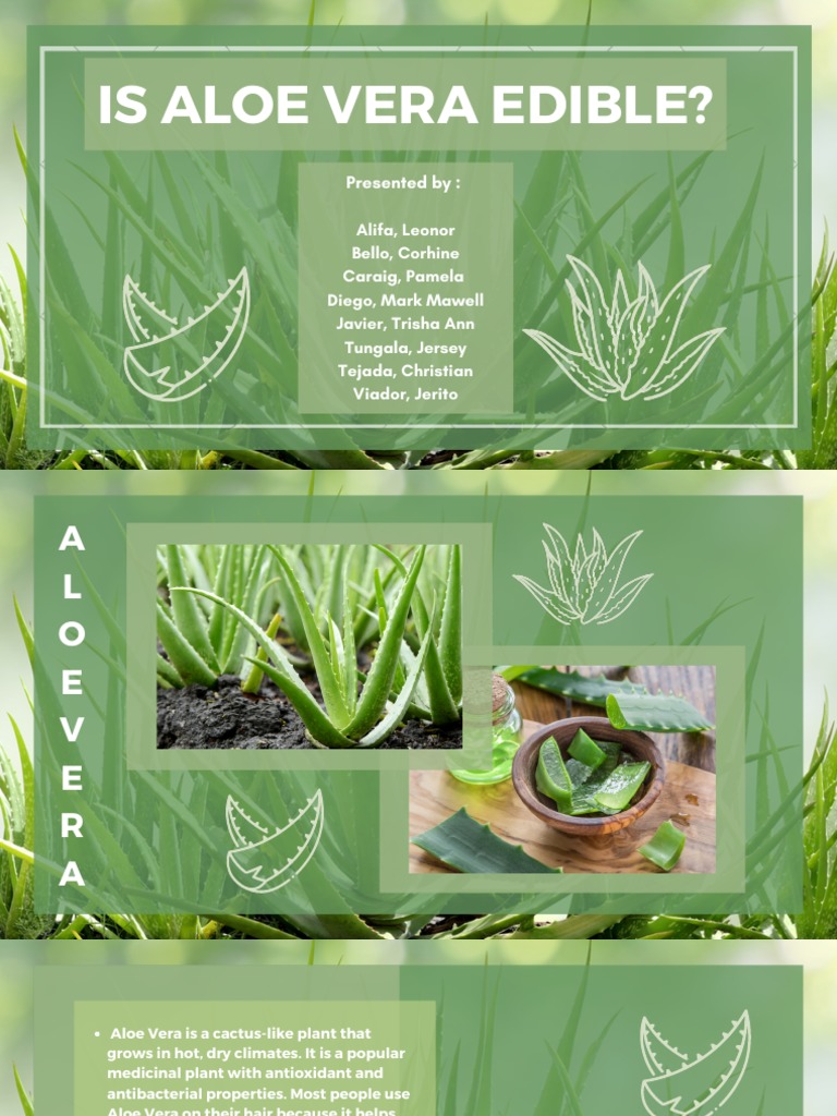 Is Aloe Vera Edible PDF