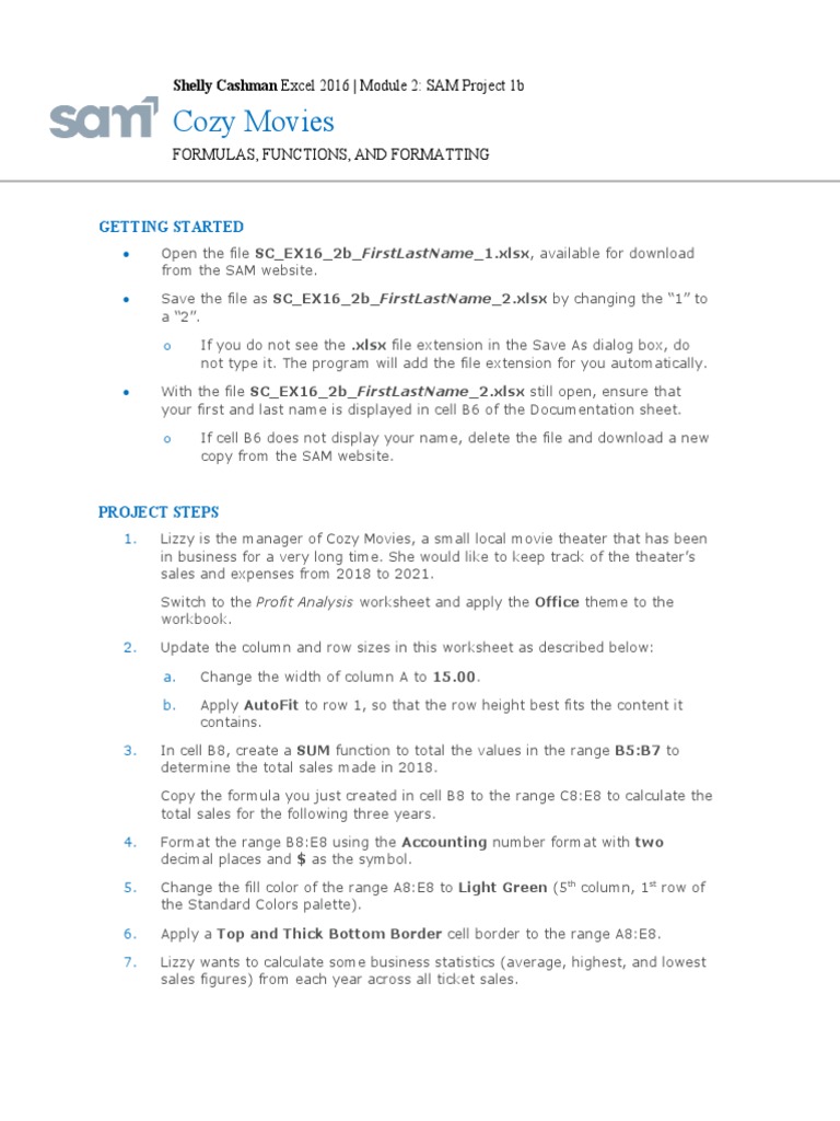 Instructions SC EX16 2b | PDF | Microsoft Excel | Computing