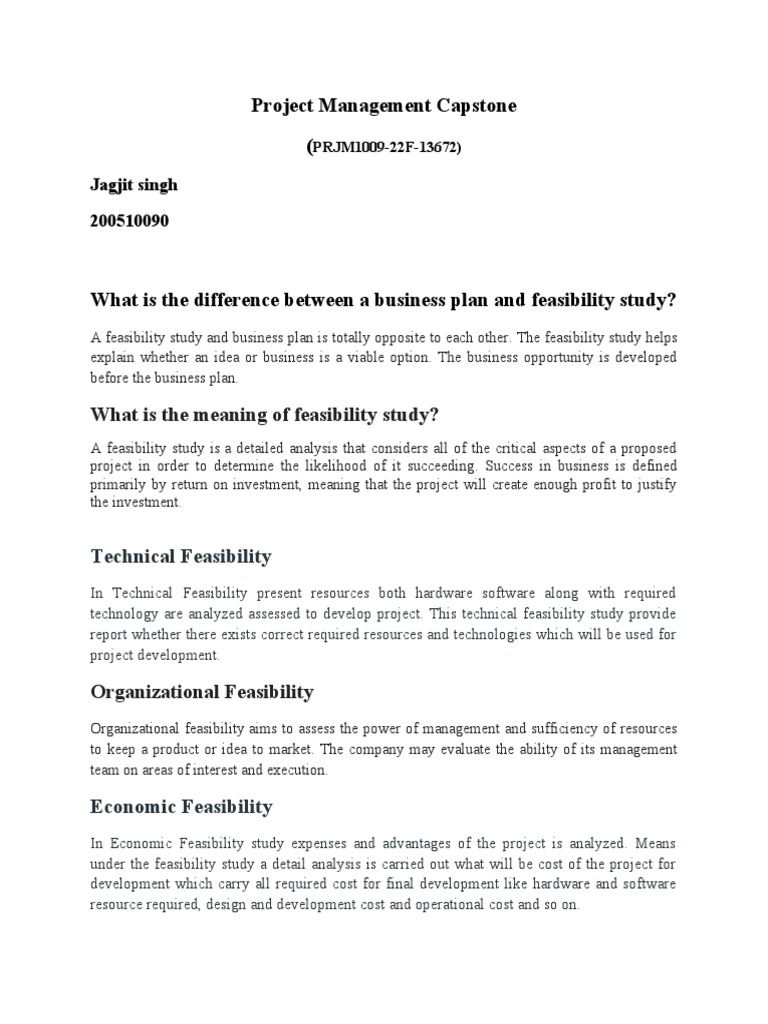 Capstone New | PDF | Feasibility Study | Business