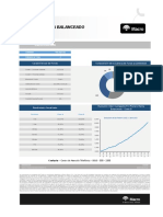 Fci Pionero Balanceado