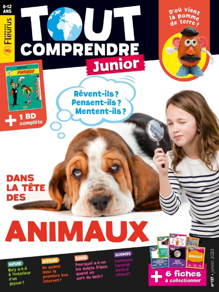 Tout Comprendre Junior Janvier 2023 PDF — free download
