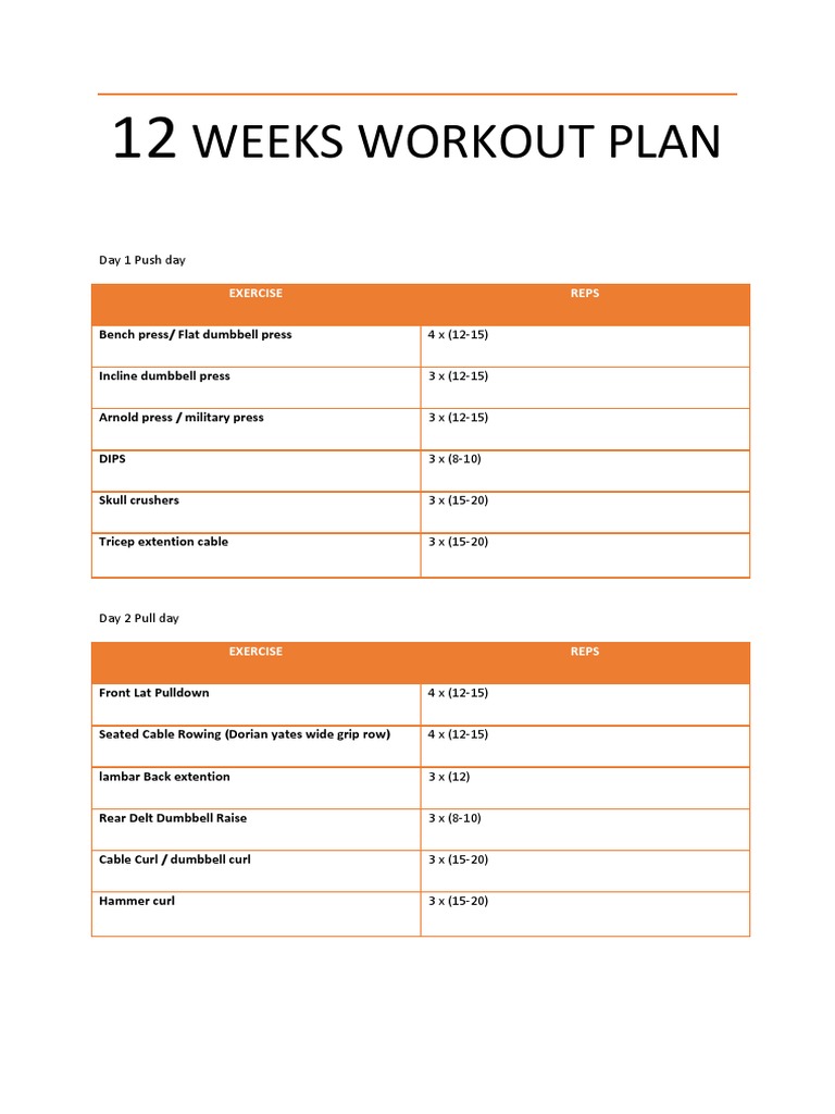 12 Weeks Workout Plan | PDF