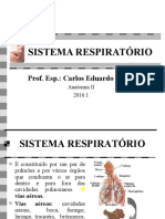 Sistema Respiratorio