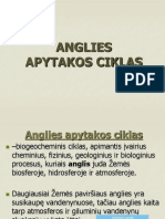 12 - Anglies Ciklas
