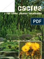 Cactus Otras Plantas Suculentas
