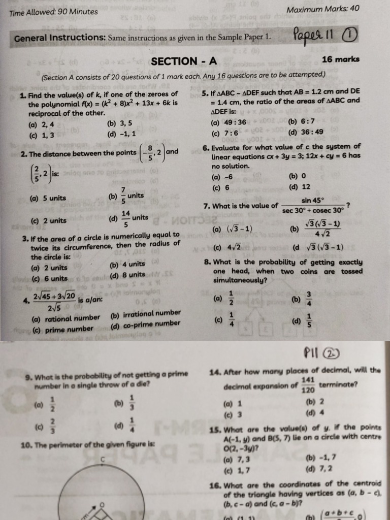 Class 10 Paper 11 PDF