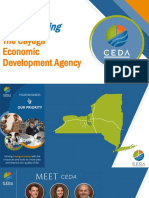 CEDA - Council Presentation - June2023-Updated