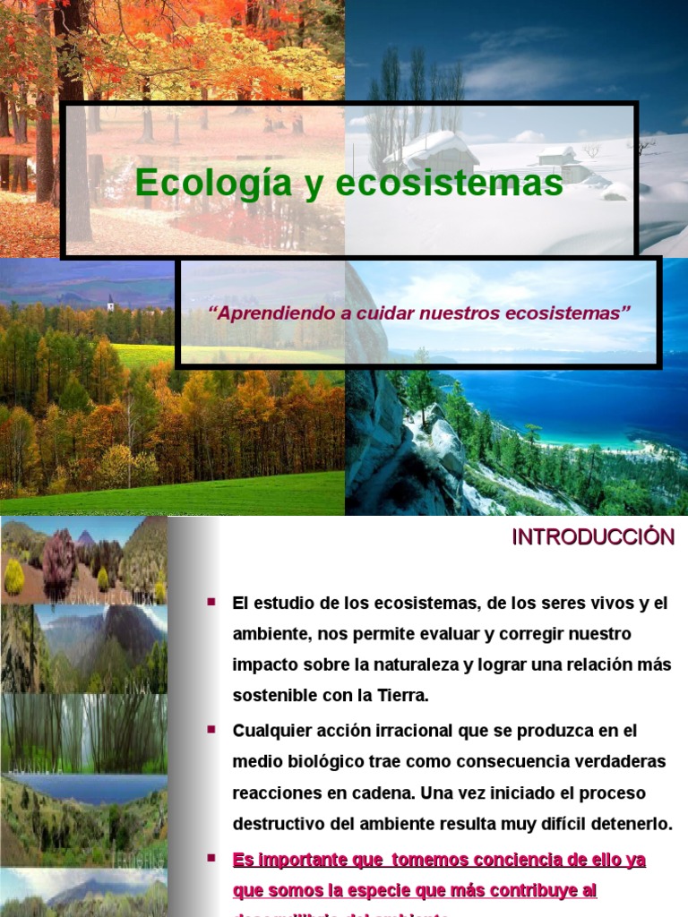 Tipos y Funcionamiento de Ecosistemas | PDF | Ecosistema | Organismos