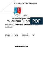 Qdoc - Tips - Informe de Experimento de Shampoo de Sabila