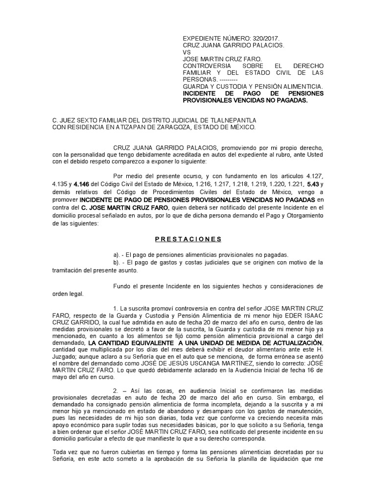 Incidente de Pago de Pension Es Alimenticias Adeudadas | PDF | Pensión