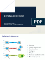 SC12 - Señalización Intercelular - BC 2022