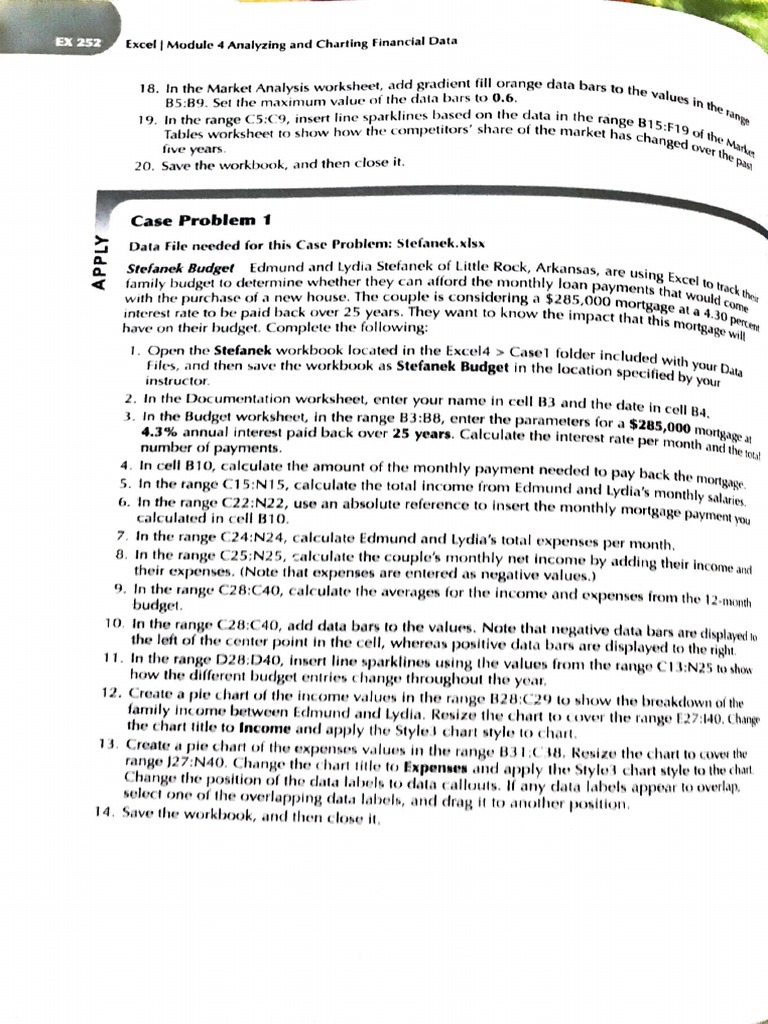 Module 4 Cases | PDF | Chart | Microsoft Excel