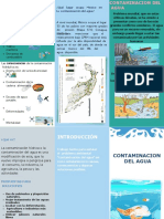 Triptico de La Contaminancion Ambiental