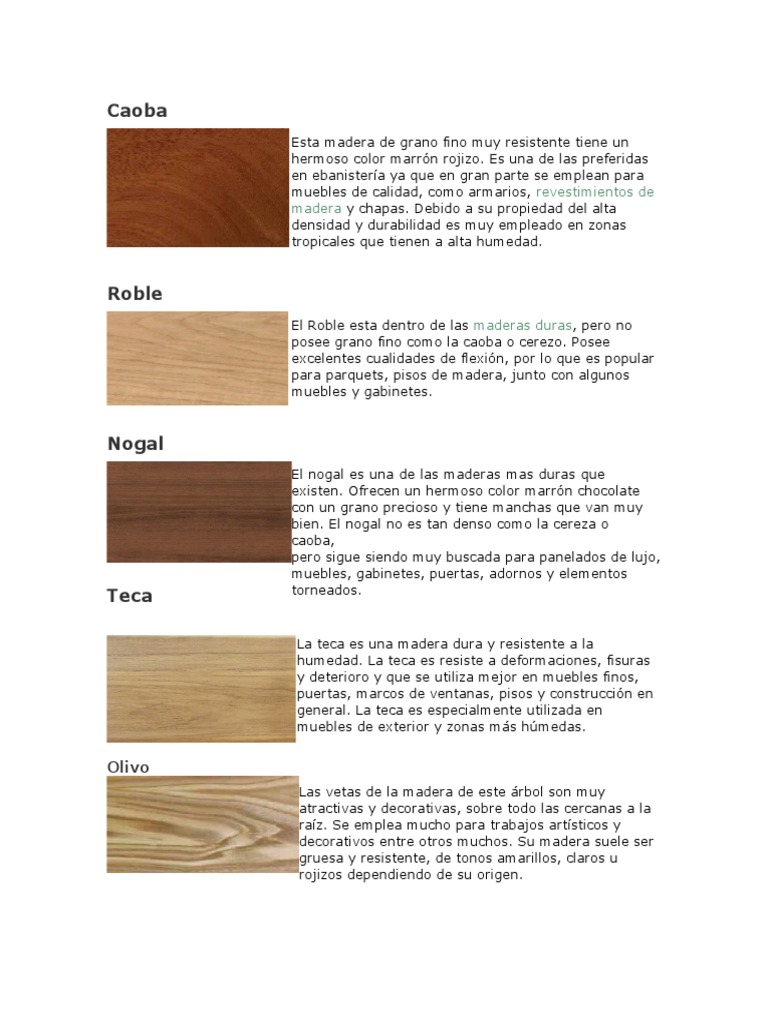 Tipos de madera: características + usos - Servei Estació