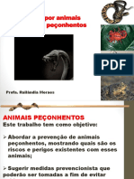 Emergências Com Animais Peçonhentos