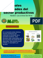 Principales Actividades Del Sector Productivos