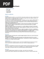 Arta de A Conduce Automobilul de Petre Cristea | PDF