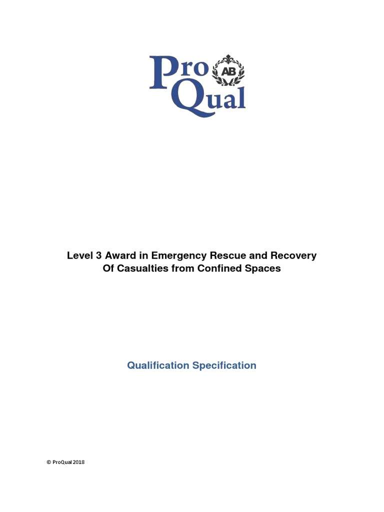 L3 Emergency Definition