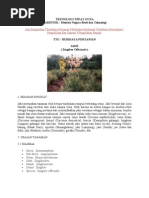 Download Zingiber Officinale Word by Soeklola Mulyadi SN65185617 doc pdf