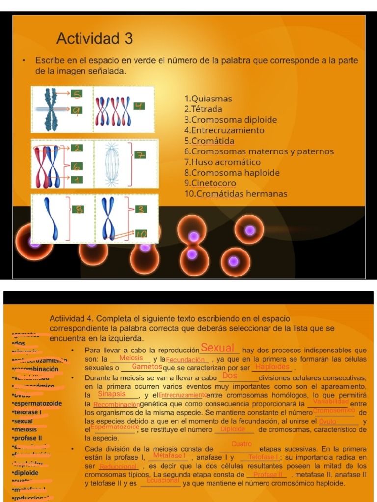 Actividad Biología PDF