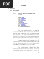 Download Bamboo  Dendrocalamus Letiflorus Species by Nabil Fikri Leemon SN65186025 doc pdf