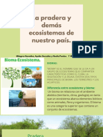 PRADERA y Ecosistemas Del Uruguay