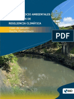 Estudios Socio Ambientales y Proyectos de Resiliencia Climatica Caso de Estudio Recife Pernambuco