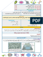 1. مقر تركيب البروتين